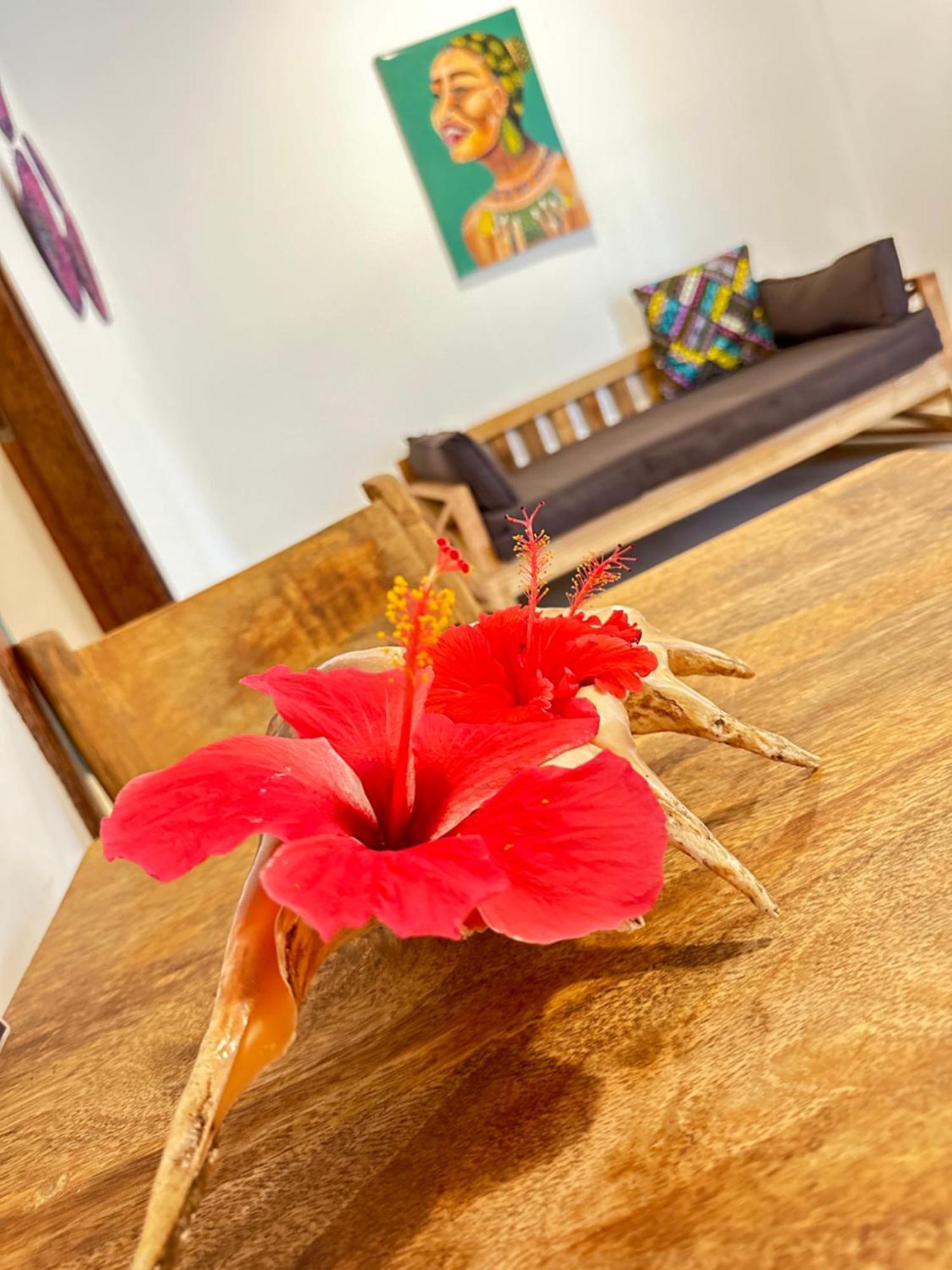 Sand Beach Boutique Apartments Bwejuu Zewnętrze zdjęcie